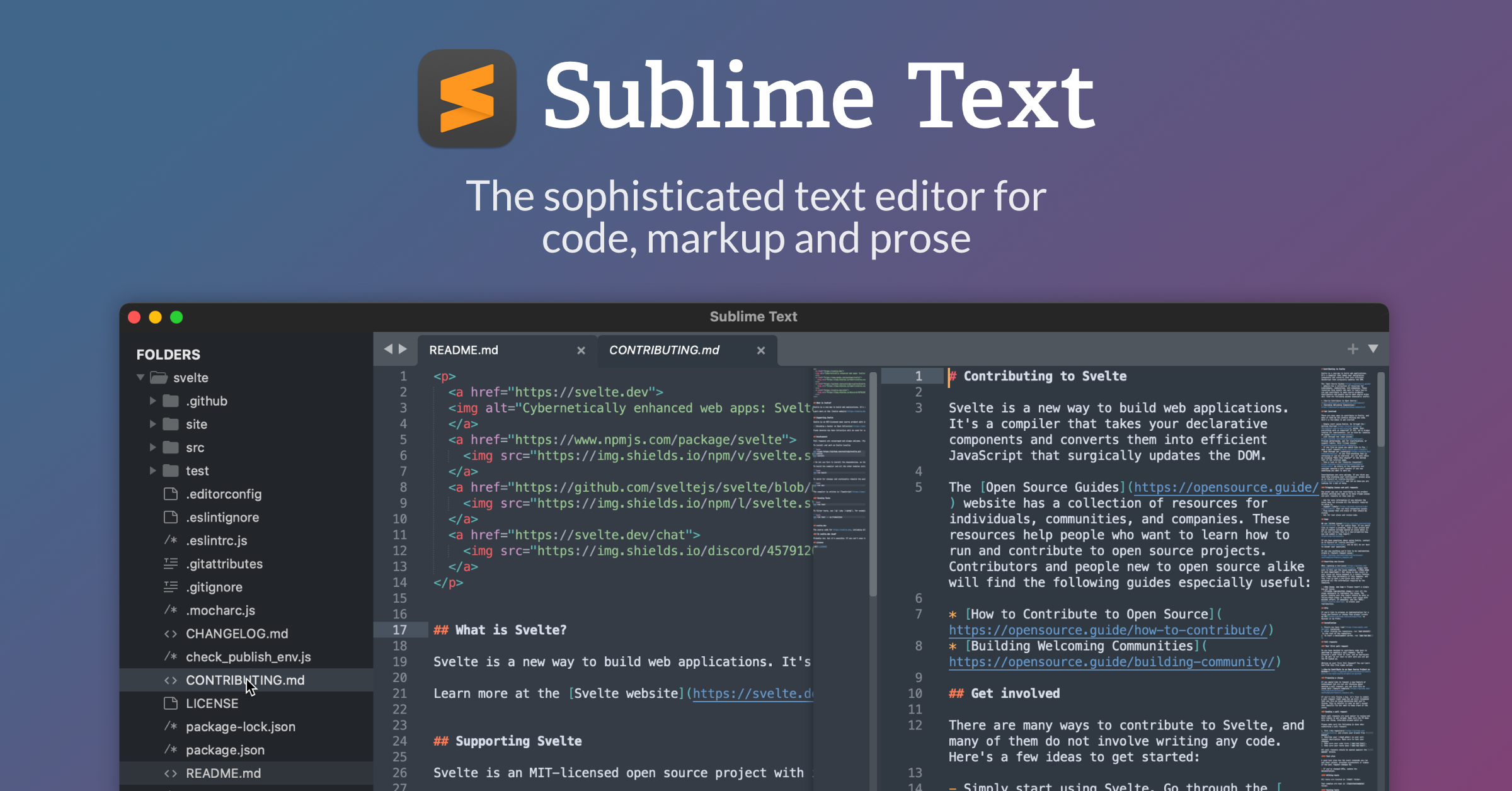 Sublime-Text (1)